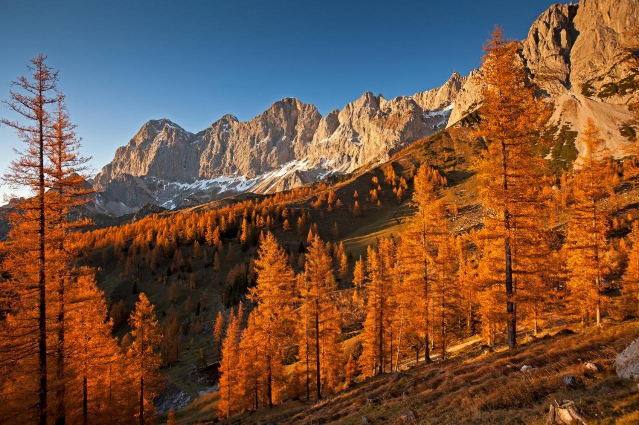 Brandhof - Chalet Am Berg Рамзау ам Дахщайн Екстериор снимка